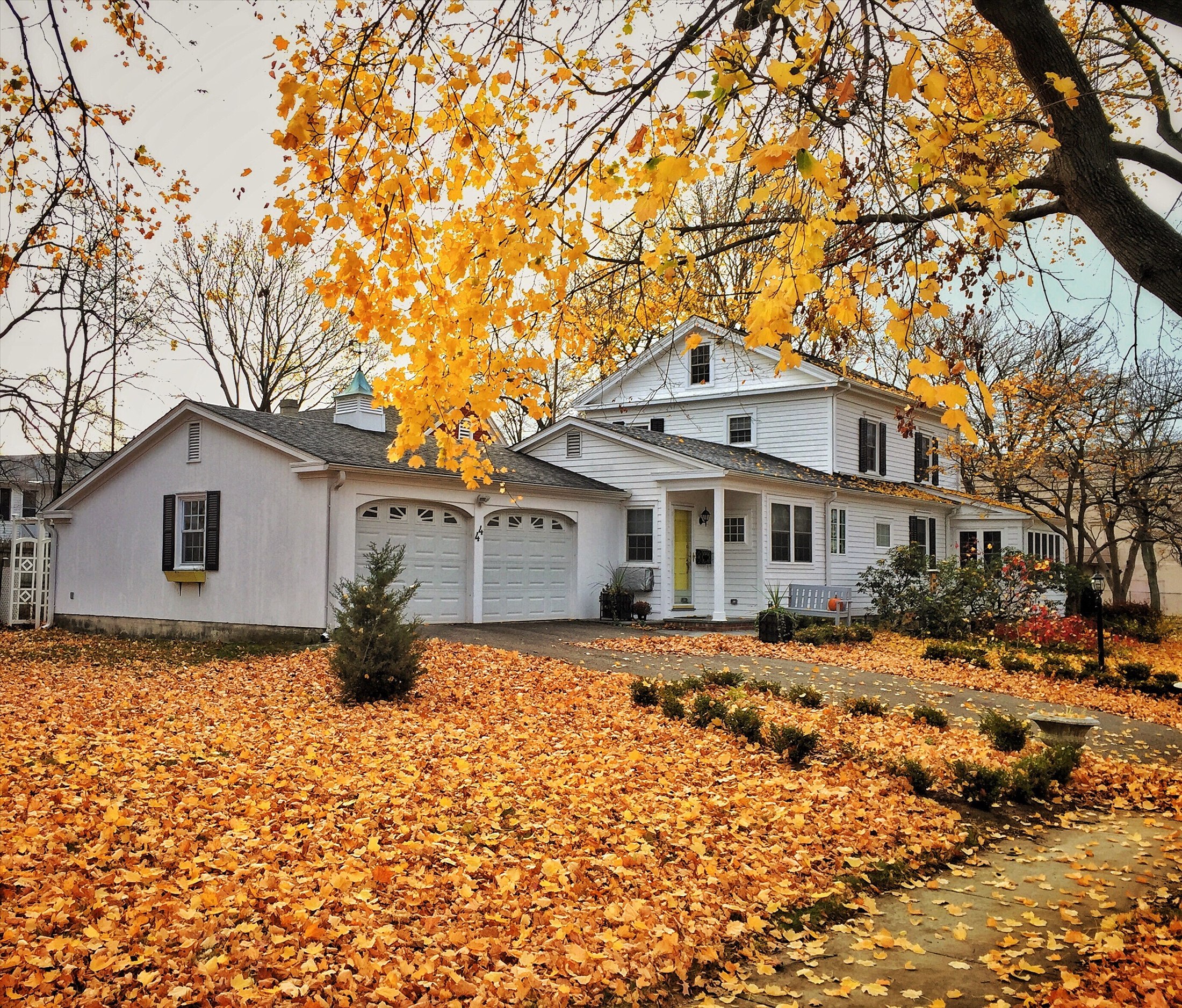 Residential garage door surrounded by fall leaves before winter